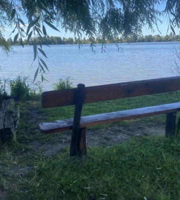 Ідеальне місце для риболовлі та відпочинку: показали мальовниче озеро на Волині 