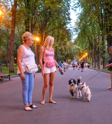 Харків святкує свій День 