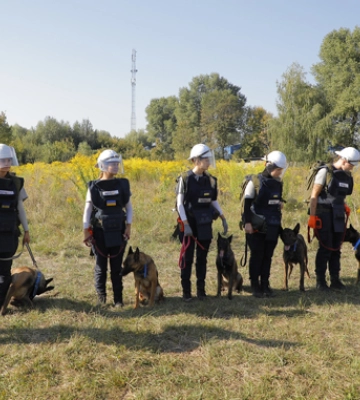 Поля на Харківщині розміновуватимуть навчені в Камбоджі кінологині з собаками