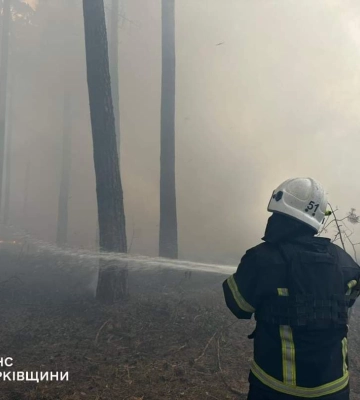 Семь лесных пожаров тушат на Харьковщине: огнем охвачены более 143 гектаров