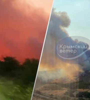 В крымской Феодосии бушует масштабный лесной пожар: более сотни человек эвакуировали