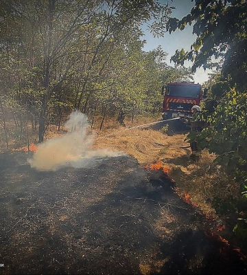 На Миколаївщині за добу рятувальники загасили 35 пожеж різного характеру