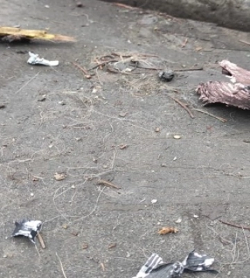У Голосіївському районі Києва на трасу впали уламки російського дрона