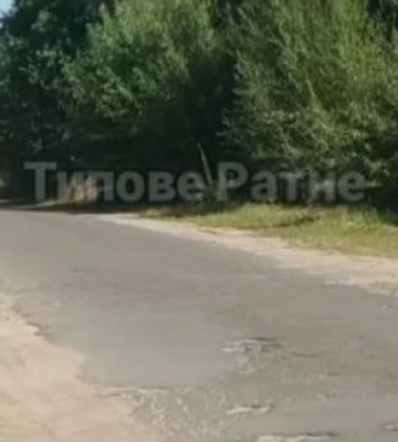 На Волині п&#039;яна водійка злетіла у кювет. Постраждала жінка