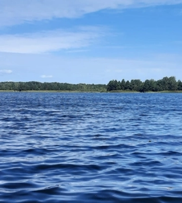 В лісі біля Старої Вижівки заховалось бездонне озеро: які легенди розповідають місцеві 