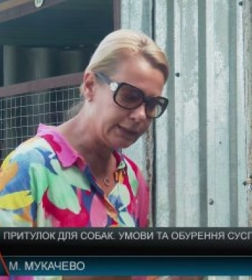 Притулок для собак на Закарпатті: Умови та обурення суспільства (відео)