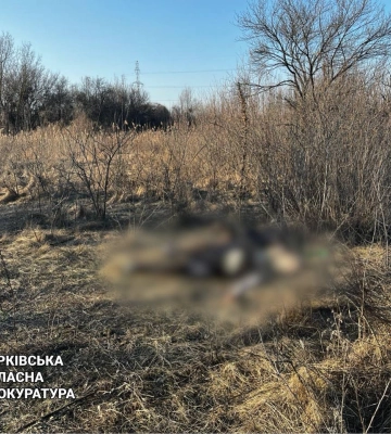 Вбивство на замовлення у Харкові: 200 ударів ломом та дерев’яною битою