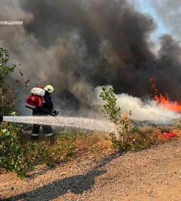За добу на Дніпропетровщині сталося 113 пожеж  екосистемі