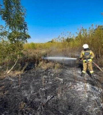 За минулий тиждень у Миколаївській області народилось 96 дітей