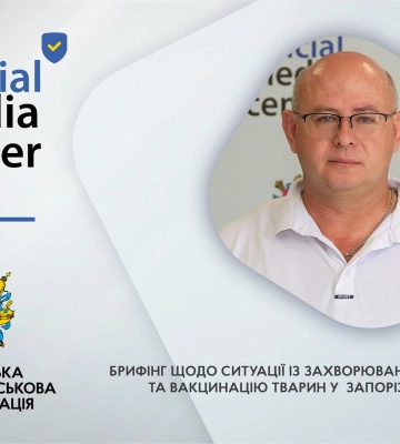 «Ситуація напружена, але контрольована»: про захворюваність тварин на сказ в Запорізькій області