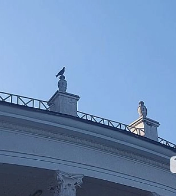 26 серпня ввечері мешканці Кривого Рогу можуть побачити дим: причина