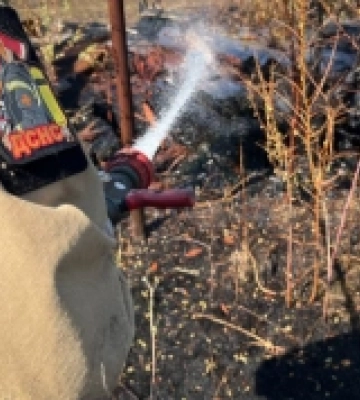 Через пожежу сухої трави та сміття ледь не згорів житловий сектор у Береговому