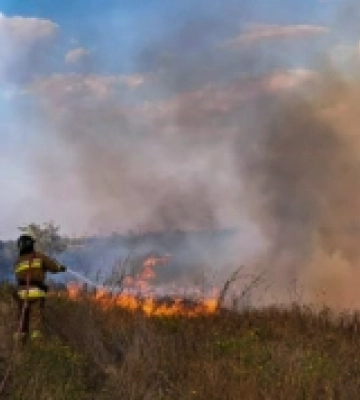 Рятувальники ліквідували на Миколаївщині 49 пожеж