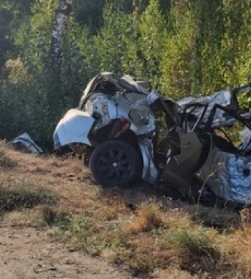 Загинули 18-річні хлопці: у Луцькому районі Nissan зіткнувся з деревом 