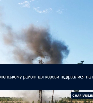 У Сарненському районі дві корови підірвалися на мінах