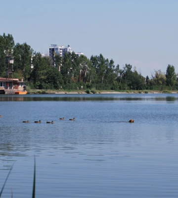 Куди піти в Івано-Франківську: афіша подій на 28 серпня