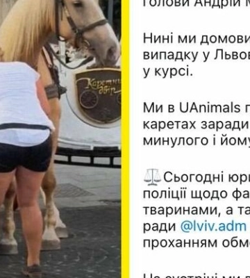 У Львові заборонили кінні упряжки в центрі міста