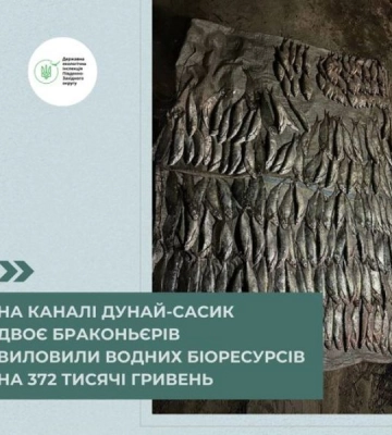 На Одещині браконьєри завдали значний збиток державі