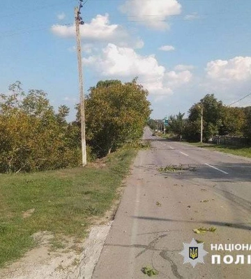 На Буковині нетверезий священник влаштував  ДТП та побив поліцейську 