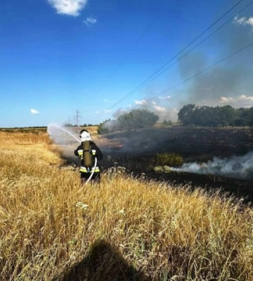 На Кіровоградщині приборкали 23 пожежі в екосистемі: вигоріли 14 гектарів землі