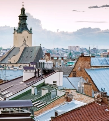 Після падіння коня у центрі Львова заборонили експлуатацію тварин – Садовий