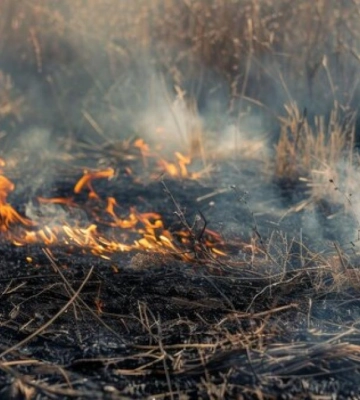 Жителів Рівненщини попереджають про надзвичайний рівень пожежної небезпеки