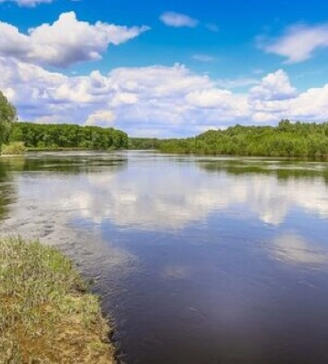 У річці Десна під Києвом виявили отруйні речовини, що стікають з території РФ. Людям заборонили купатися та ловити рибу