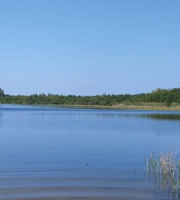 Неглибоке і тепле: де на Волині є озеро з чистою водою 