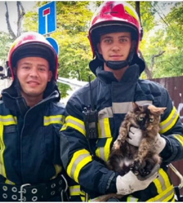 В Одесі рятувальники зняли кота з з висоти третього поверху