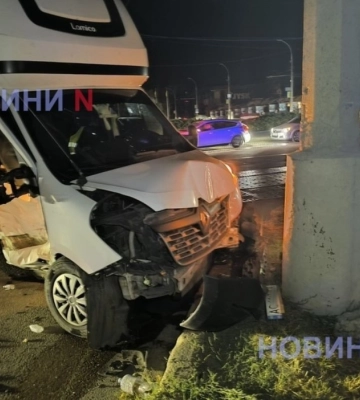 На Миколаївщині потрапила в ДТП вантажівка, яка перевозили 2,5 тонни заморожених… собак