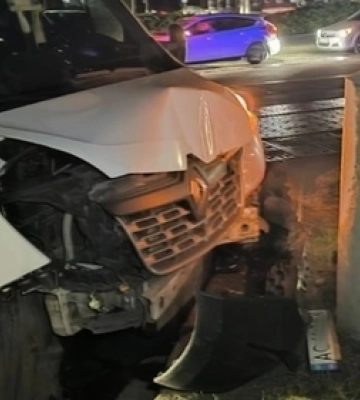 Автівка з Волині перевозила заморожених мертвих собак і потрапила в ДТП
