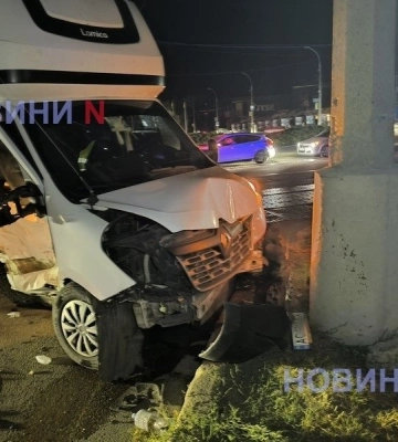 На Миколаївщині потрапила в ДТП вантажівка, яка перевозили 2,5 тонни заморожених… собак