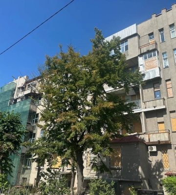 Ремонтують будинок, що постраждав взимку від удару ракети по центру Харкова