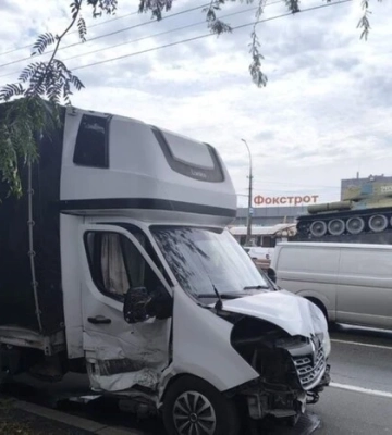 Водій вантажівки, яка перевозила заморожені собачі туші, пояснив походження вантажу