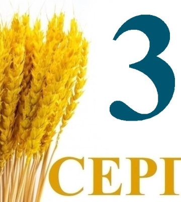 Сегодня 30 августа: какой день в истории