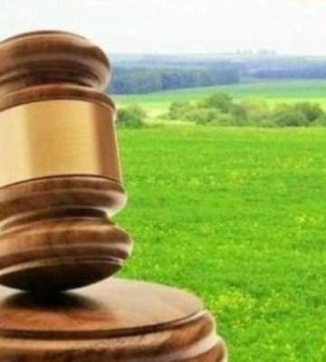 Сільрада на Волині продає шість ділянок землі: де і за скільки