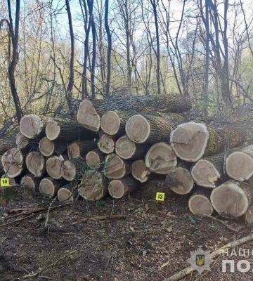 Понад 1 мільйон гривень збитку: на Сумщині поліцейські повідомили про підозру групі осіб у незаконному порубі дерев