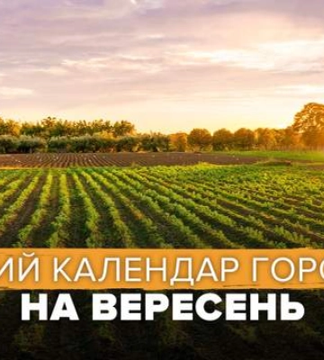 Що можна садити у вересні і коли обробляти та обрізати рослини: місячний календар городника