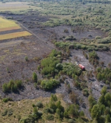На Волині виникла пожежа на торфовищі
