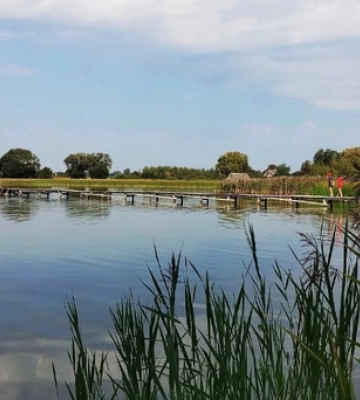 Зручні пірси і мало людей: на Волині в озері у формі вуха водиться багато риби 