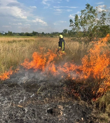 На Волині упіймали палія сухої трави