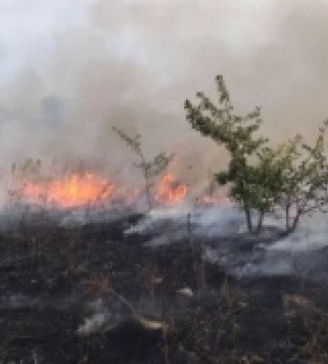 За добу рятувальники ліквідували чотири пожежі на території Рівненського району