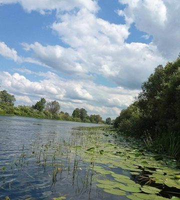 Забруднена вода із Сейму дійде по річці Десна до Чернігова у другій половині дня 1 вересня: як це помітять чернігівці