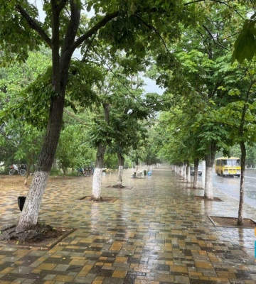В яких районах Одещини у серпні було перевищено норму опадів