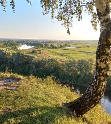 У Міндовкілля уточнили прогноз по забрудненню Десни органічними речовинами