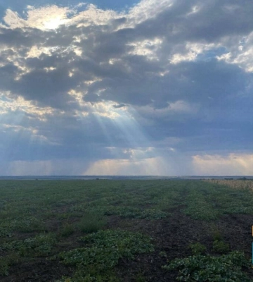 Чи сприятливими були погодні умови на Одещині наприкінці серпня для збирання врожаю пізніх культур та обробки ґрунту під сівбу&amp;hellip;