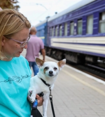Покровск ежедневно покидают две тысячи жителей, половина уже эвакуировалась – глава ГВА Добряк