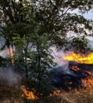 За добу ліквідовано 41 пожежу, одна з яких - внаслідок бойових дій