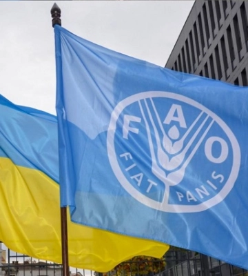 Підприємці на прифронтових і деокупованих територіях отримали допомогу від ООН