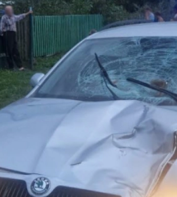 На Львівщині внаслідок ДТП загинула 15-річна дівчина (ФОТО)